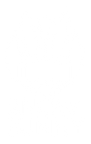 SNOW BUNNY