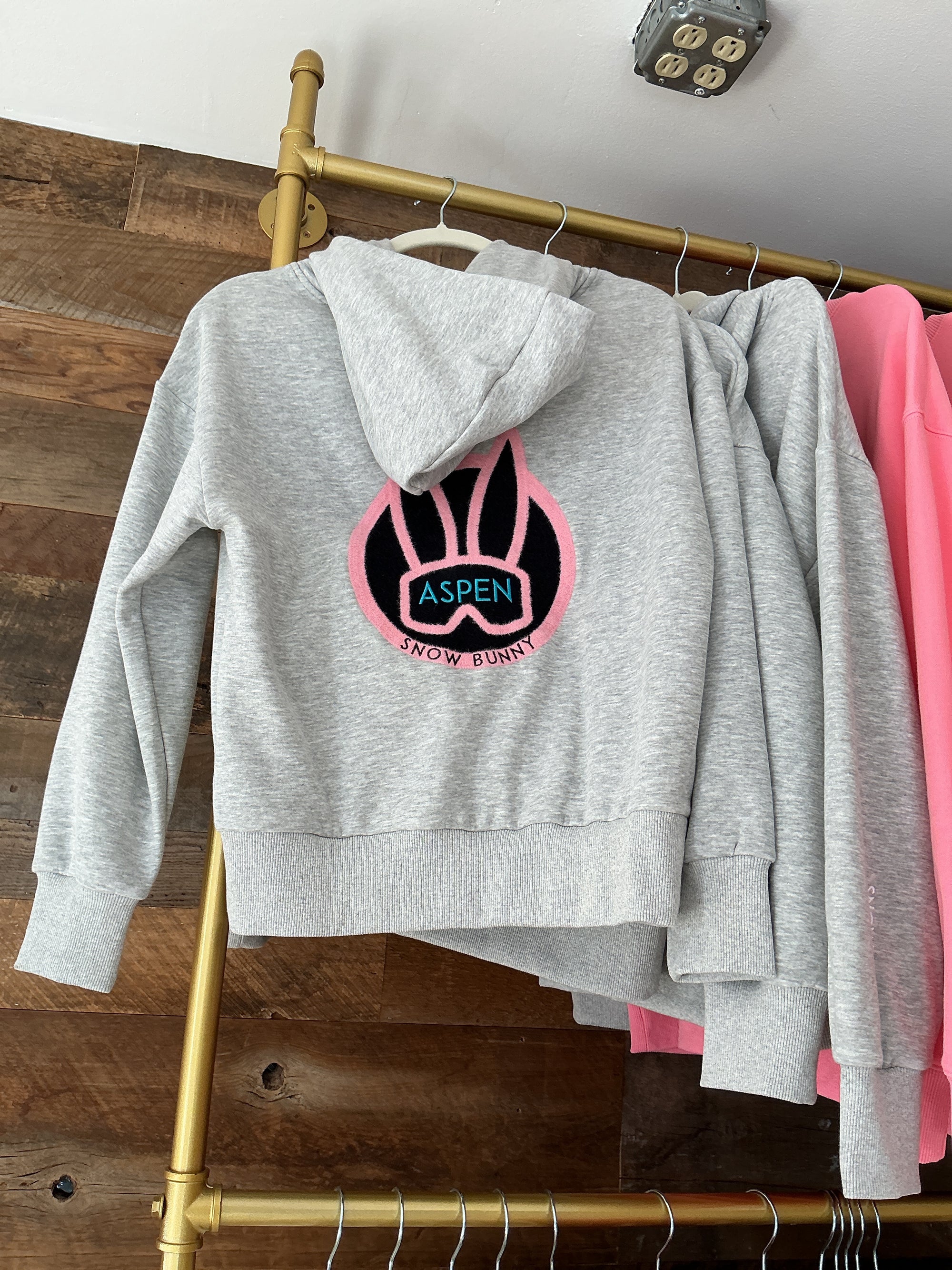 ASPEN Hoodie Sweatshirt Velvet Embroidery